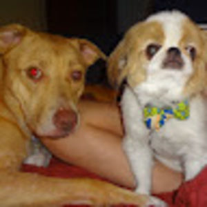 Meet your Posher, Dot